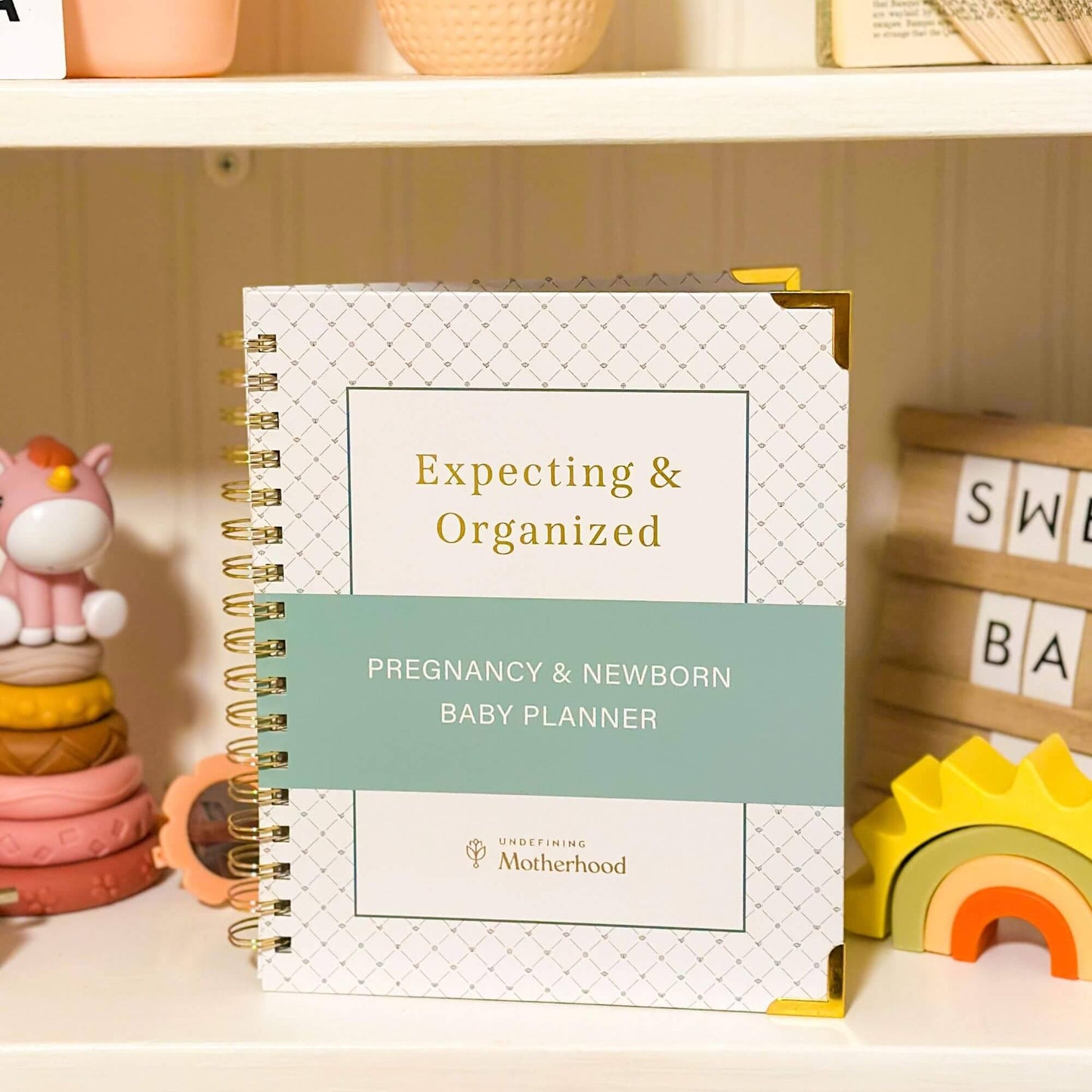 Expecting & Organized: Pregnancy Planner & New Baby Organizer