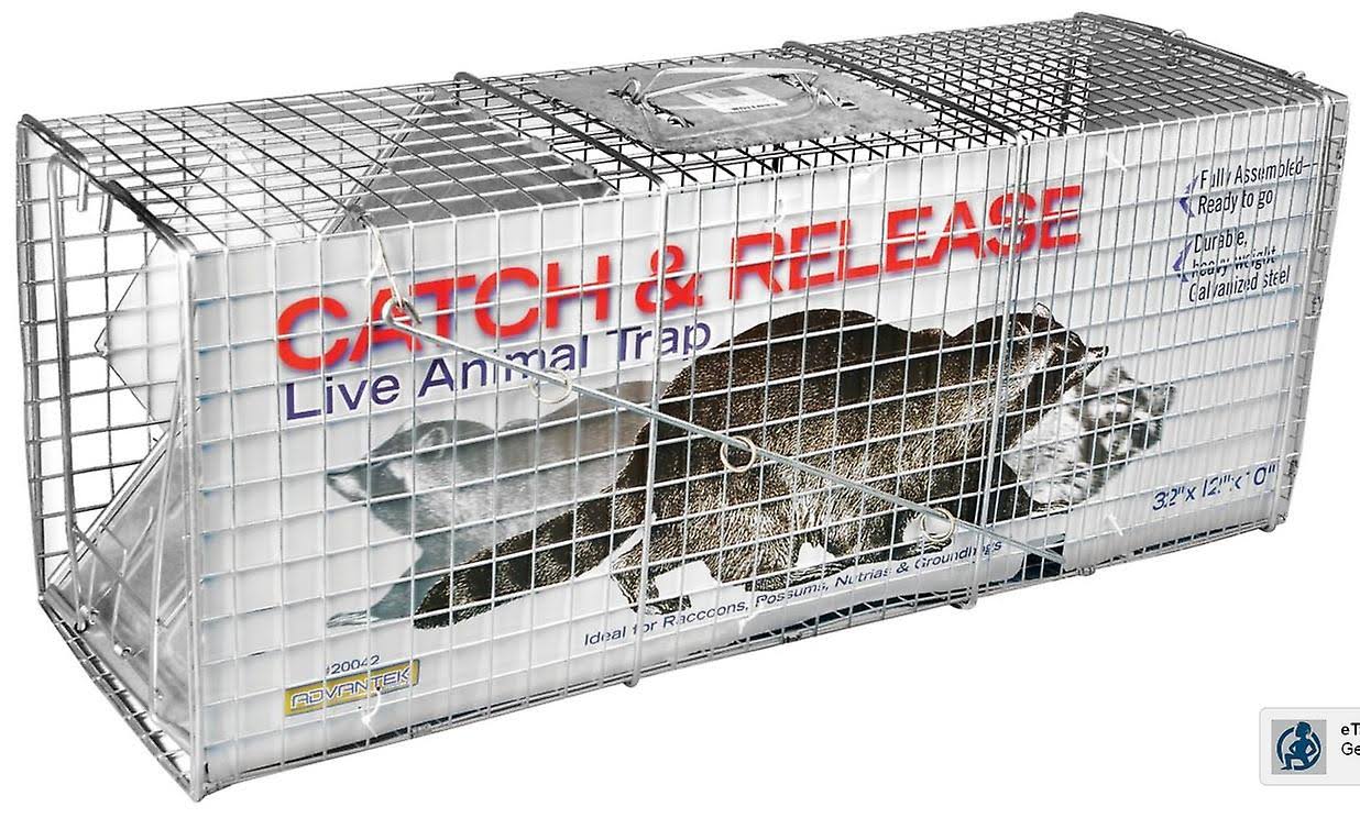 Countyline 1-Door Catch-and-Release Live Animal Trap