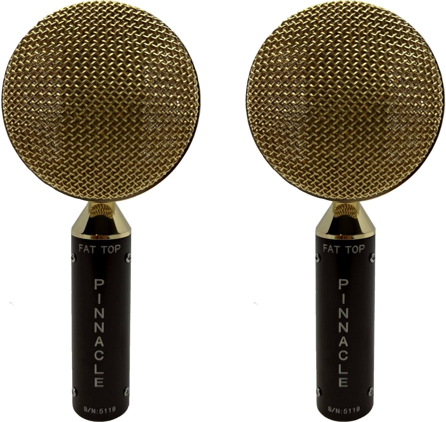 Pinnacle Microphones Fat Top Ribbon Microphone (Black)