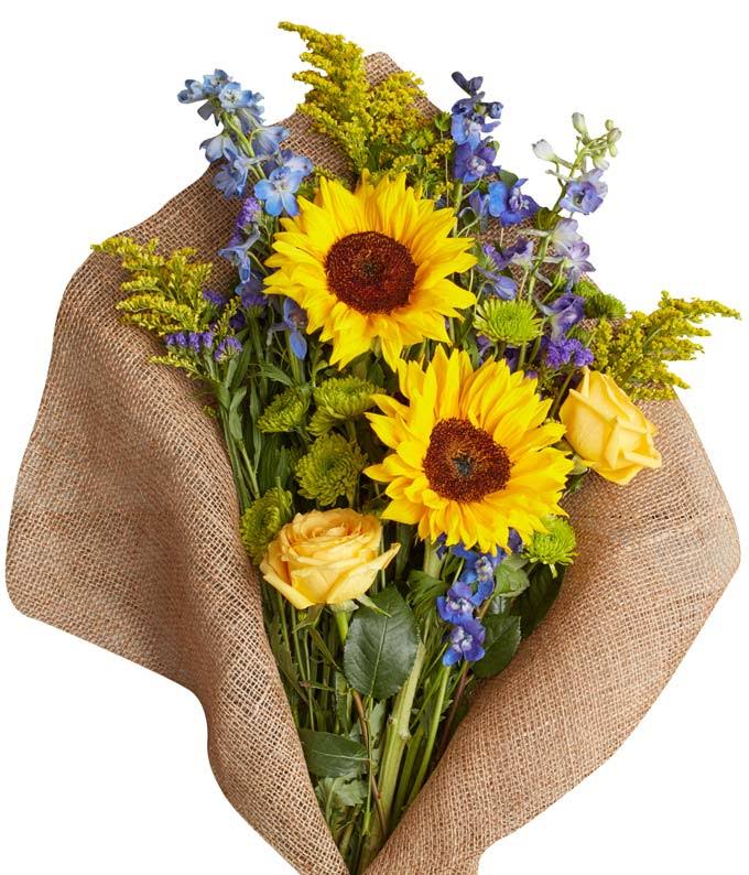 Flowers - Sapphire and Sunflowers - Regular