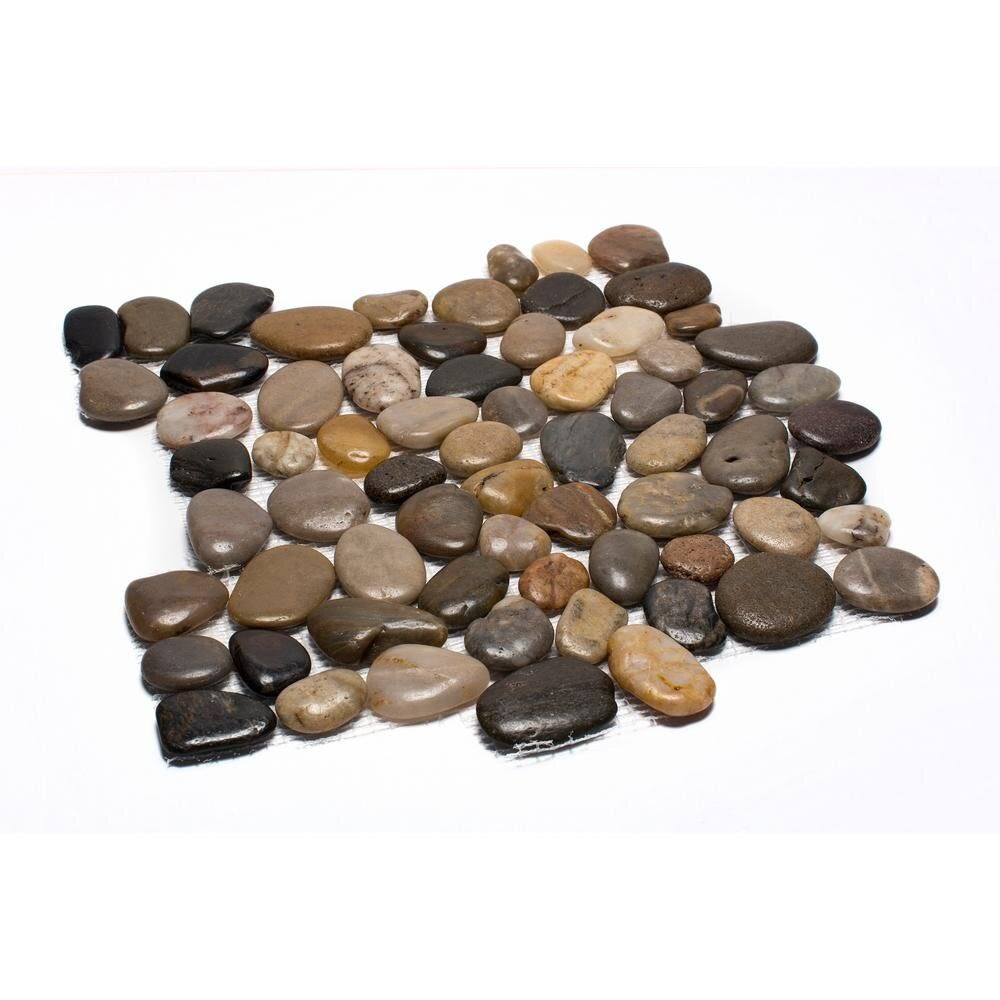 Rainforest 12 in. x 12 in. Mixed Mid-Polish Pebble Stone Floor and Wall Tile (5.0 Sq. ft. / CASE)